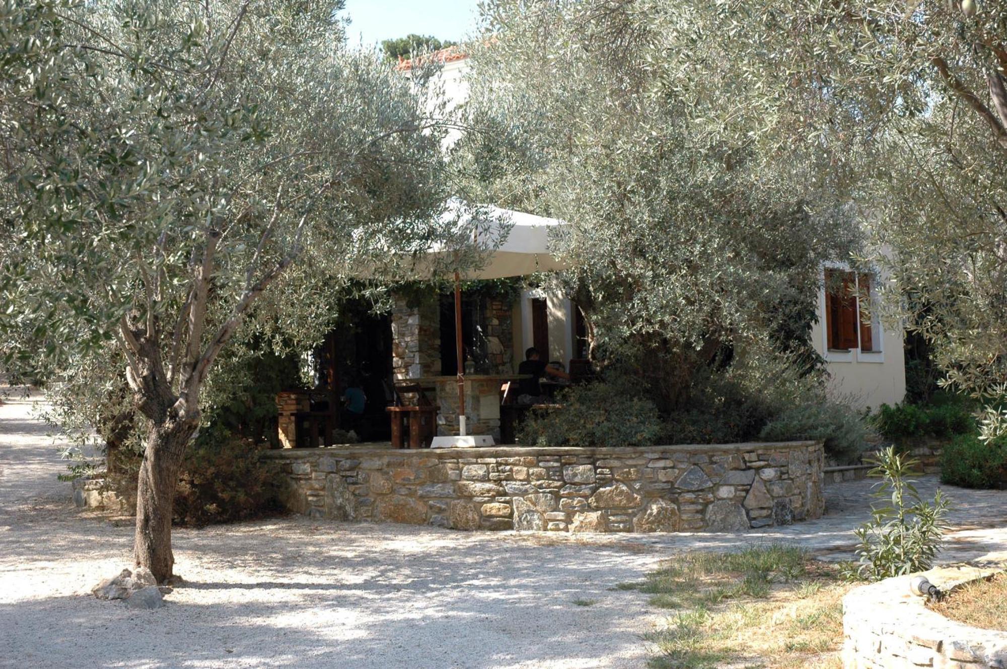 Hotel Gera'S Olive Grove - Elaionas Lesvou Marmaro  Exterior foto